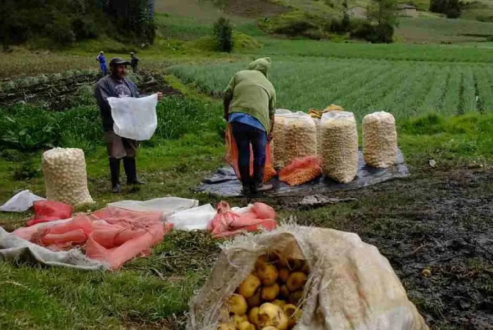 Precios al productor sorprenden al alza en abril y prenden alarmas frente a inflación imagen de la publicación