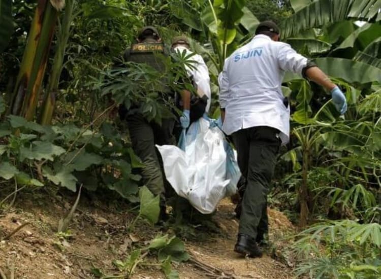 Encontradas muertas tres personas que fueron reportadas como desaparecidas imagen de la publicación