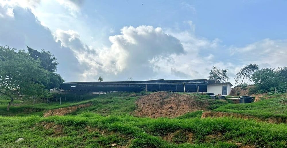 Impacto ambiental: Suspenden temporalmente empresa Porcícola en Girón imagen de la publicación