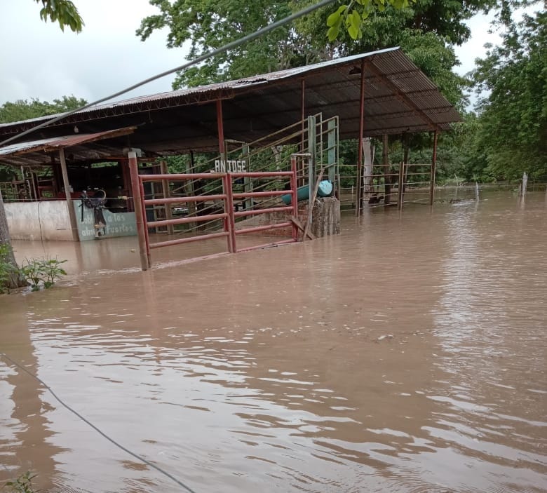 VIDEO. Propietario de finca señala riesgos por intervención en río Lebrija imagen de la publicación