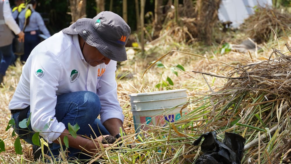 La Troncal del Magdalena 1 lidera el camino hacia un futuro más verde imagen de la publicación