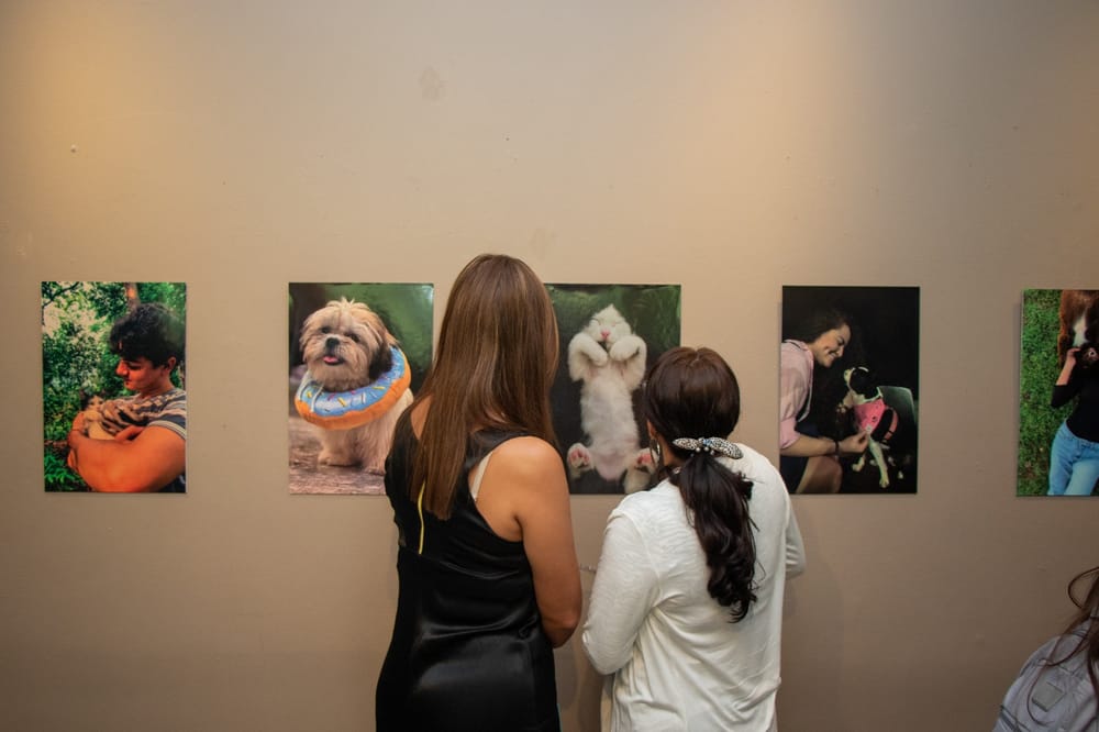 Exposición fotográfica 'Vínculos 2024' celebra la Semana del Médico Veterinario imagen de la publicación