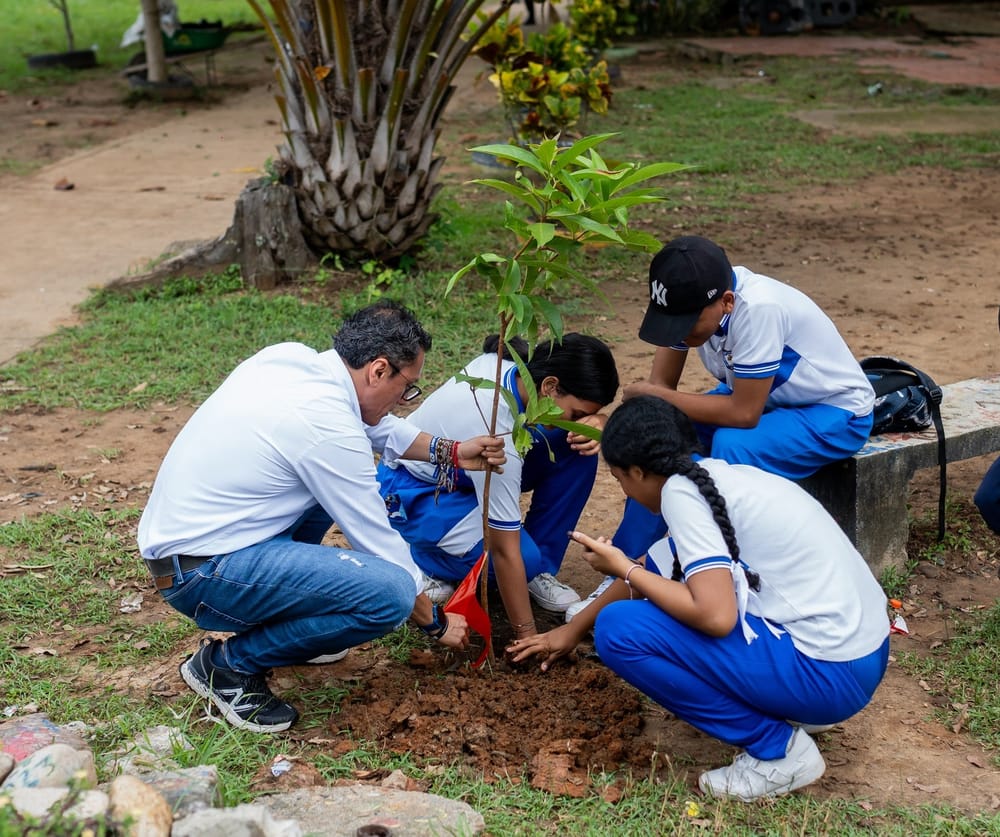 ‘Sembratón’ para celebrar Dia del Medio Ambiente imagen de la publicación