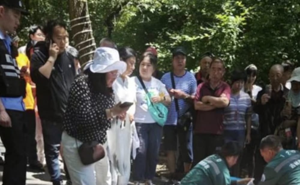 Cuatro turistas apuñalados en un parque de Jilin, China imagen de la publicación