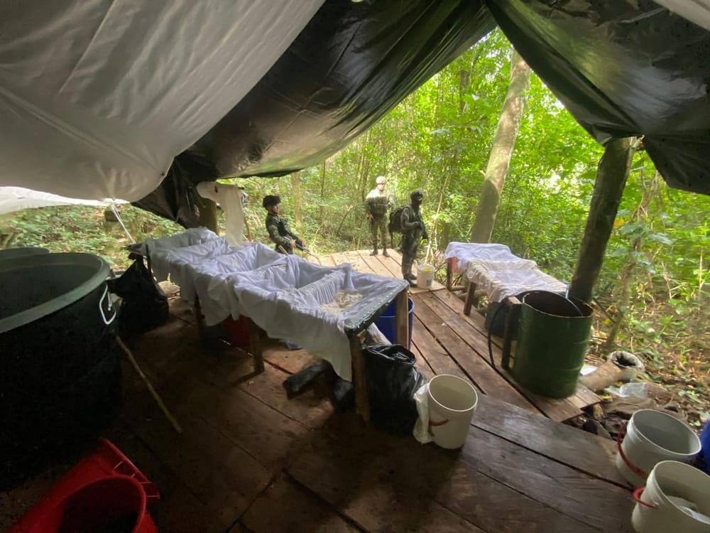 Desmantelado complejo cocalero valorado en más de 2.000 millones de pesos en Norte de Santander imagen de la publicación