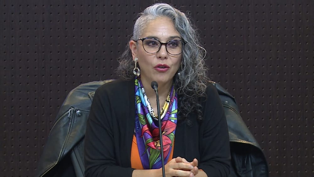 Fracasa reforma educativa de presidente Petro: la senadora Pizarro acusa a la oposición imagen de la publicación