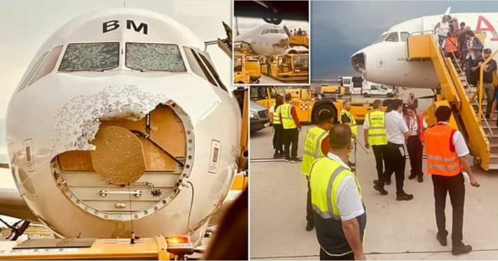Vuelo de Austrian Airlines azotado por granizo en Viena imagen de la publicación