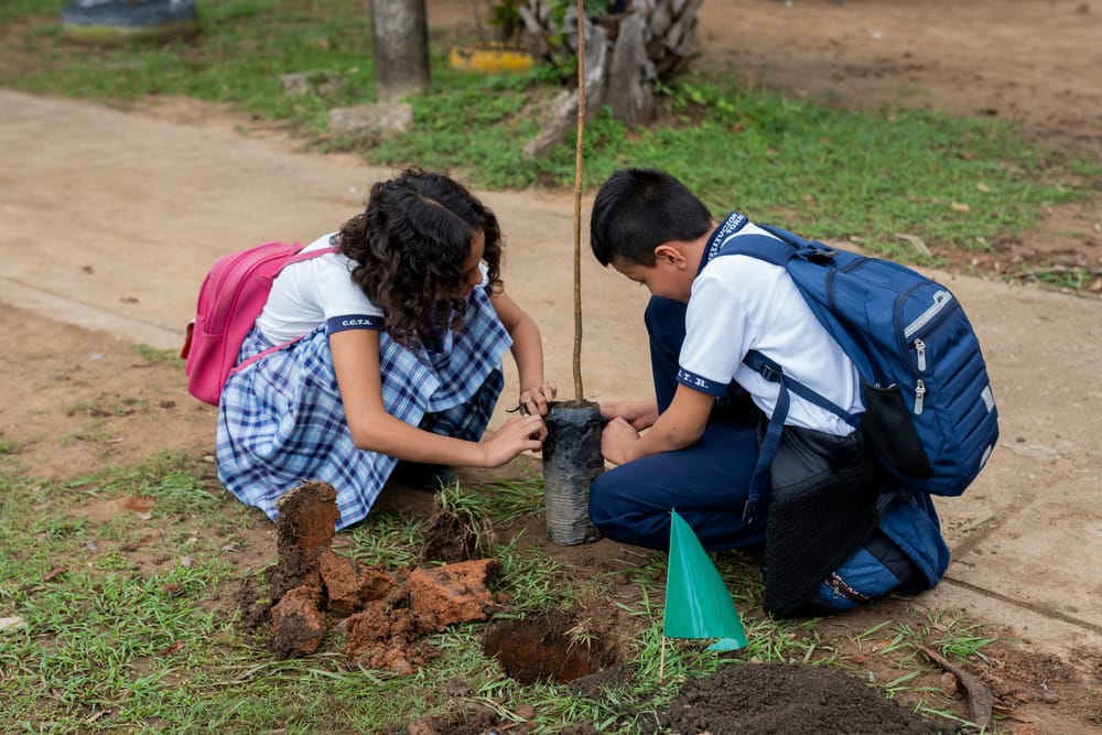 Jóvenes barranqueños comprometidos con el planeta imagen de la publicación