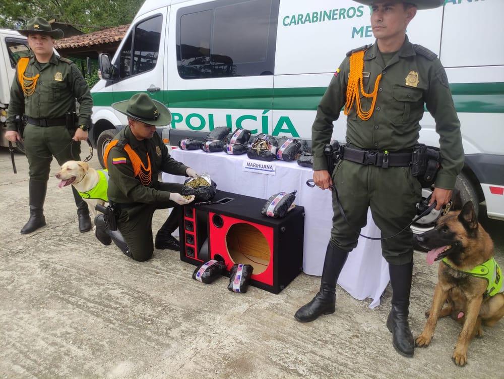 'Narcoparlante ' fue descubierto en una encomienda imagen de la publicación