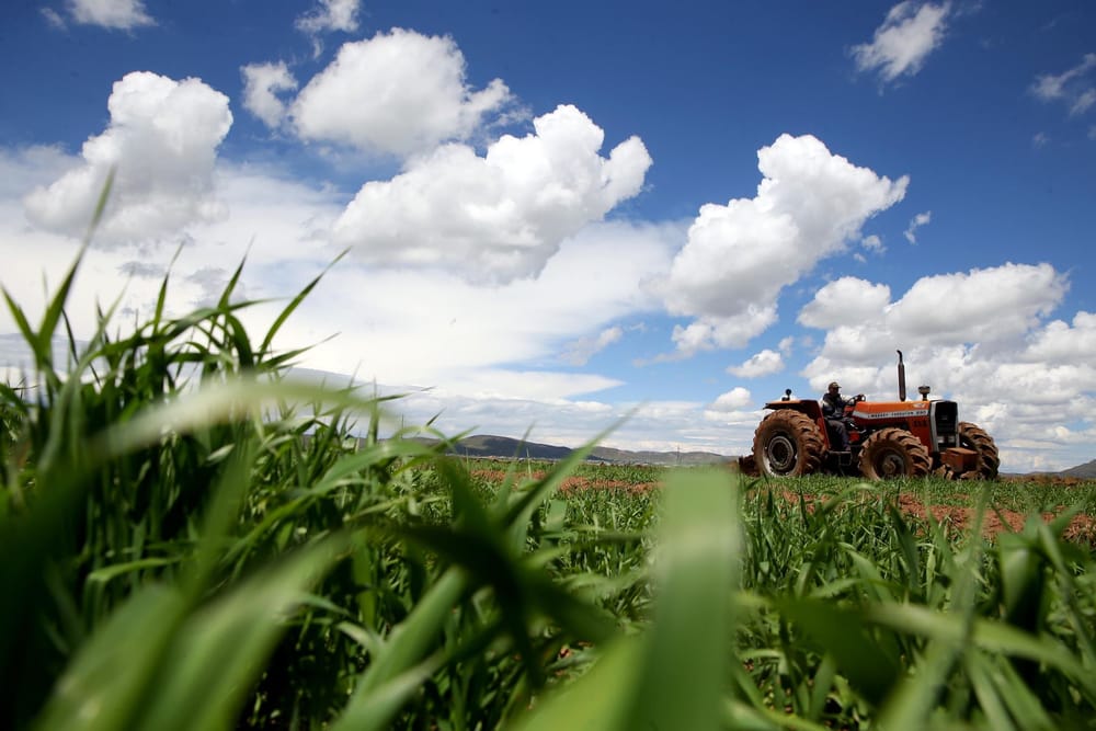 Sector agropecuario destaca con un incremento del 10.2% en abril imagen de la publicación