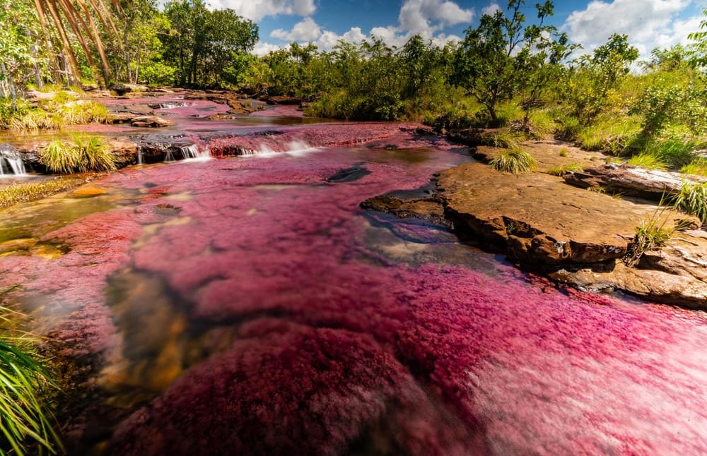 Santander se suma a la lucha por la biodiversidad en la gira 'Rumbo a la COP16' imagen de la publicación