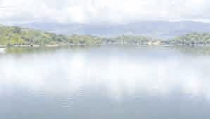 CAS reglamentará espejos de agua para búfalos y manatíes imagen de la publicación