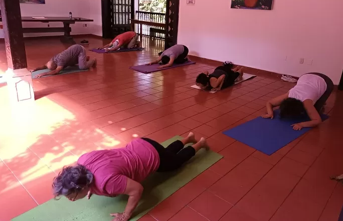 Día Internacional del Yoga: Un viaje hacia la salud integral y el equilibrio mental imagen de la publicación
