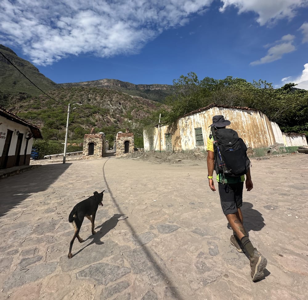 ‘El Camino de la Ceiba’ combina deporte y conservación ambiental imagen de la publicación