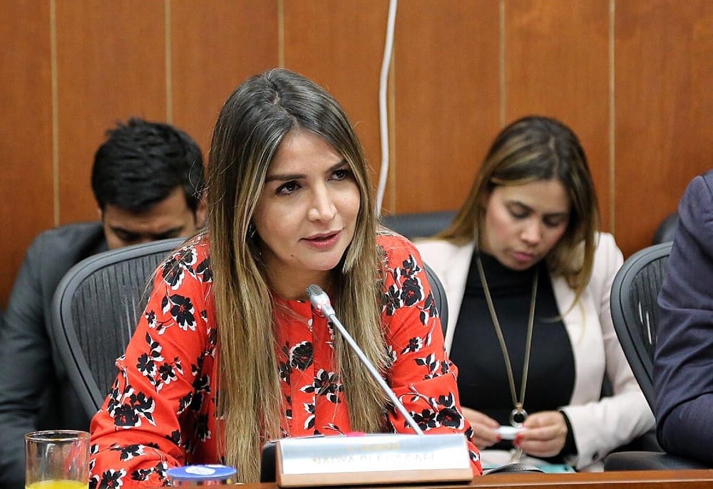 Nadia Blel se convierte en la primera mujer en liderar el partido Conservador imagen de la publicación