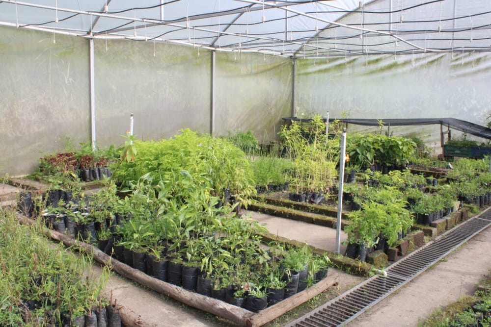 UIS Málaga entrega vivero municipal a la administración local imagen de la publicación