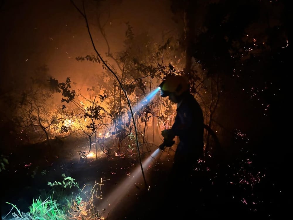 Incendio afecta 25 hectáreas de vegetación en Betulia imagen de la publicación