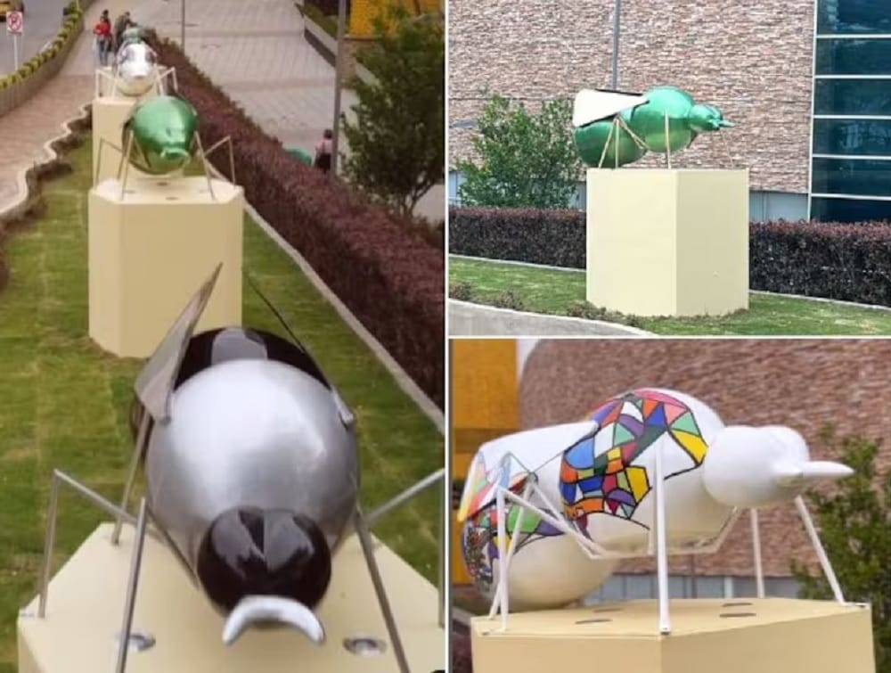 Bucaramanga estrena el nuevo Paseo de las Hormigas Culonas imagen de la publicación