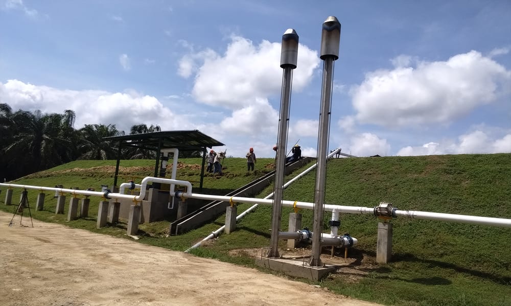 “La sostenibilidad no es la meta, es el camino” imagen de la publicación