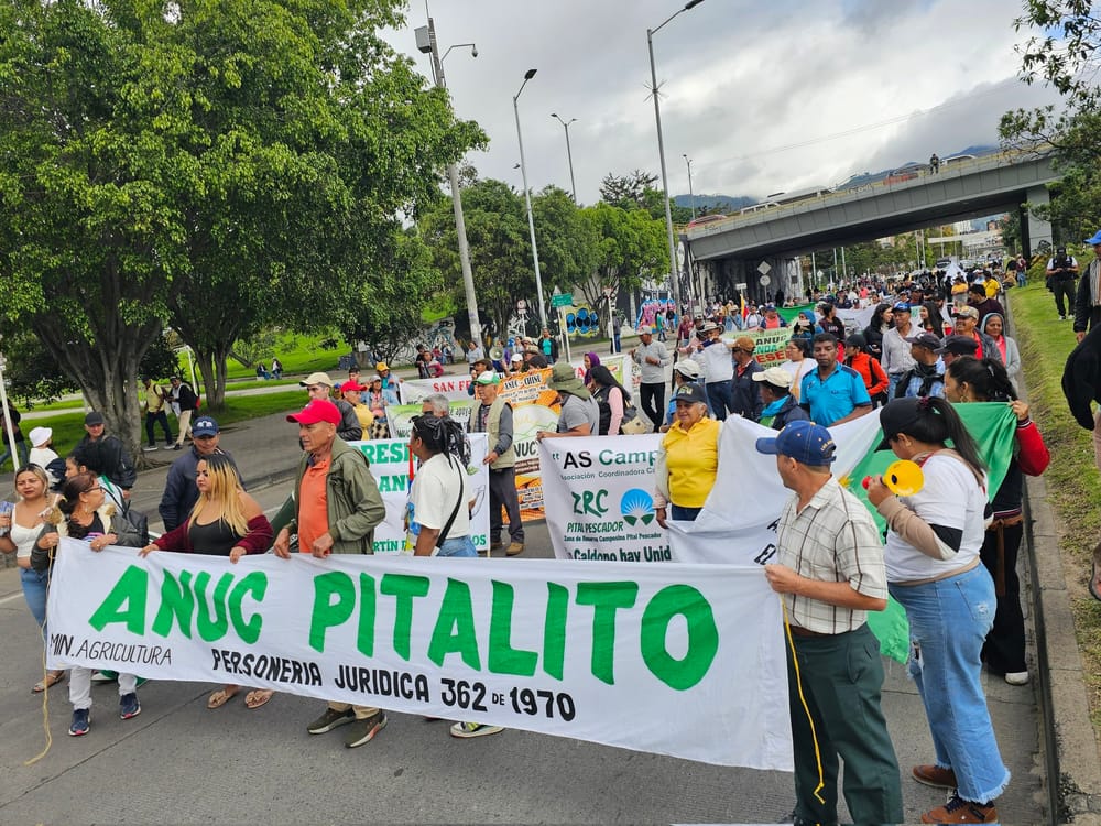 Protesta agraria en Bogotá: campesinos exigen respuestas del Gobierno Nacional imagen de la publicación
