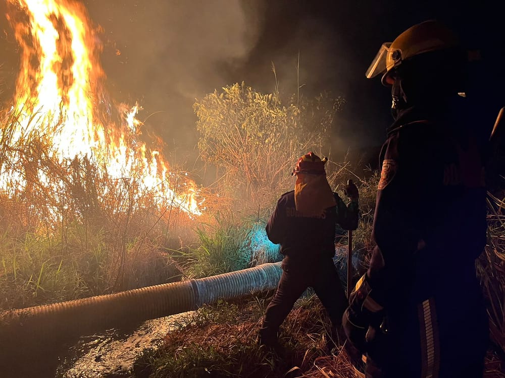 Incendio destruye apartamento en Montealegre donde funcionaba un ‘call center’ de ‘brujería’ imagen de la publicación