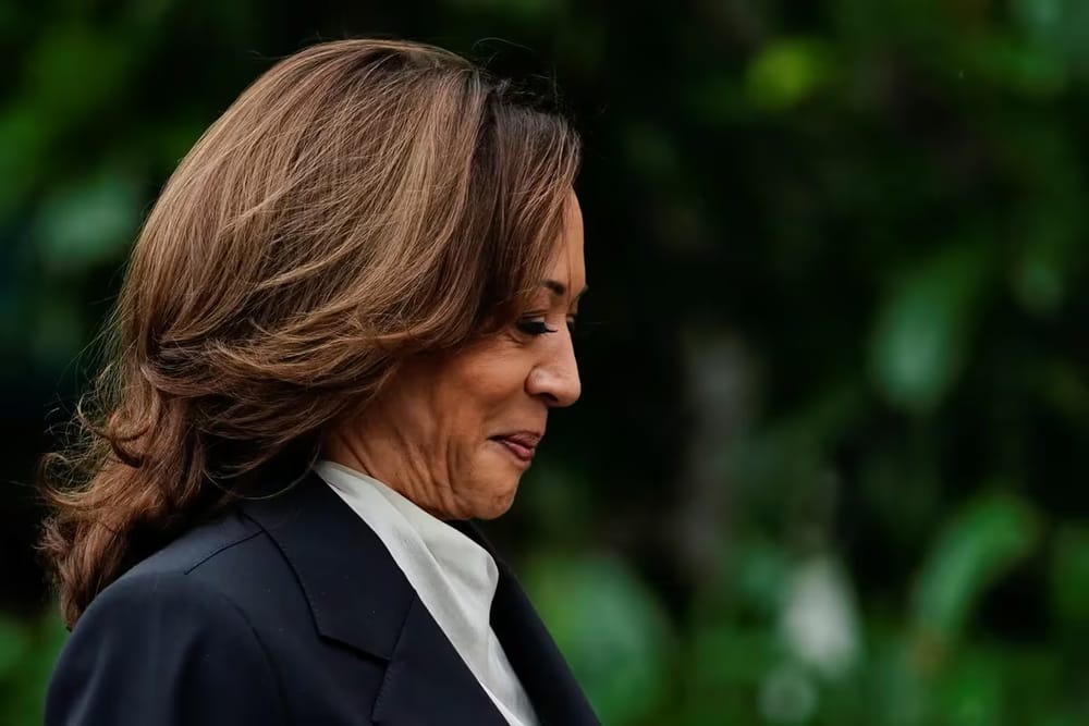 Millonaria recaudación de Kamala Harris para llegar a la Casa Blanca imagen de la publicación
