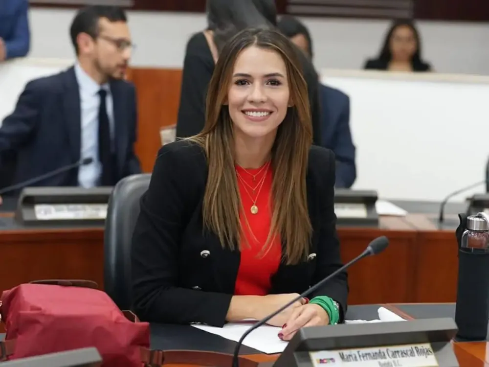 Llueven las críticas a la defensa de resultados electorales en Venezuela por parte de congresista Mafe Carrascal imagen de la publicación