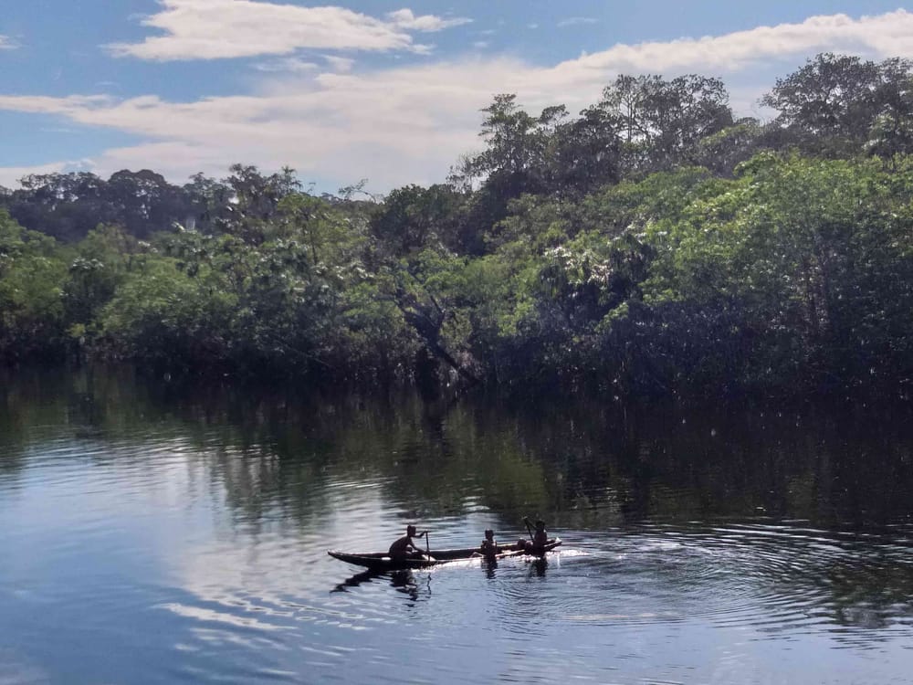 Corte Constitucional anula acuerdo de créditos de carbono por presunto fraude en Vaupés imagen de la publicación