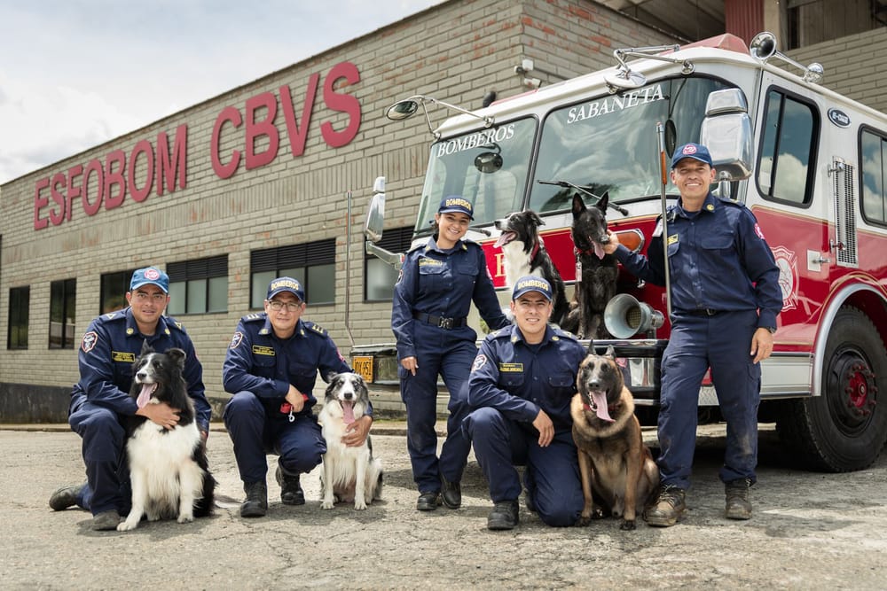 Perros K9: los nuevos héroes de los bomberos en el Valle de Aburrá imagen de la publicación