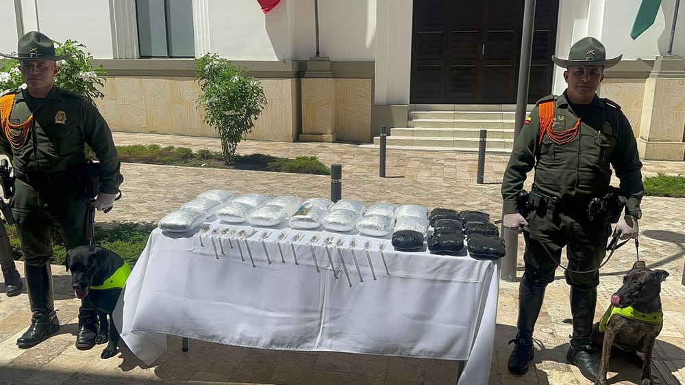 Caninos lograron masiva incautación en Bucaramanga imagen de la publicación