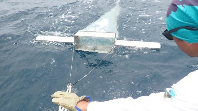 Investigación alarma sobre contaminación marina por microplásticos en Colombia imagen de la publicación