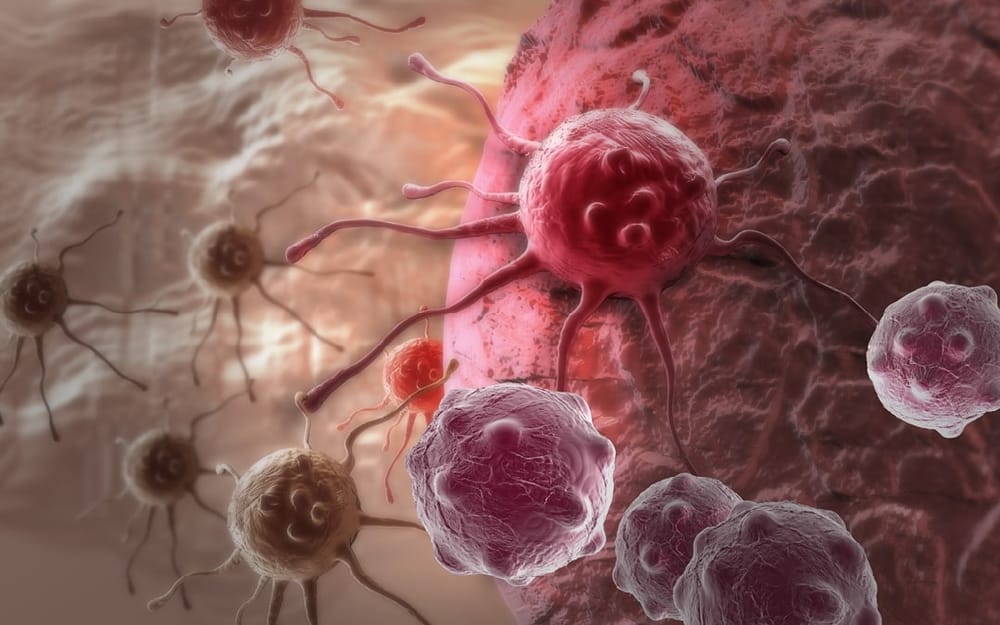 Estudio revela que virus antiguos podrían estar impulsando el desarrollo de cánceres en la actualidad imagen de la publicación