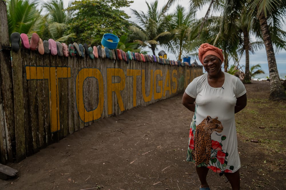 Mamá Orbe y las tortugas de playa Cuevita imagen de la publicación