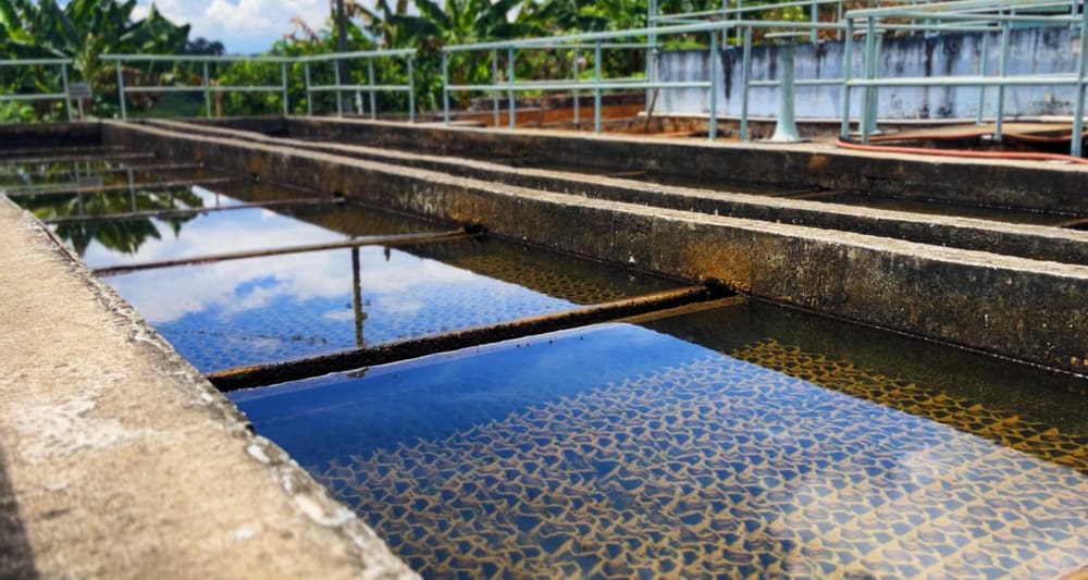 Mejoras en Empulebrija permiten disminución en tarifas de aseo en Lebrija imagen de la publicación