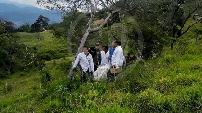 Apuñalaron a un joven y lo arrojaron en zona boscosa imagen de la publicación