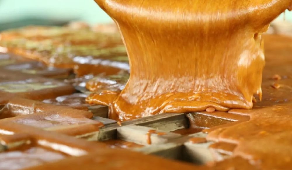 El agro santandereano es el motor del empleo imagen de la publicación