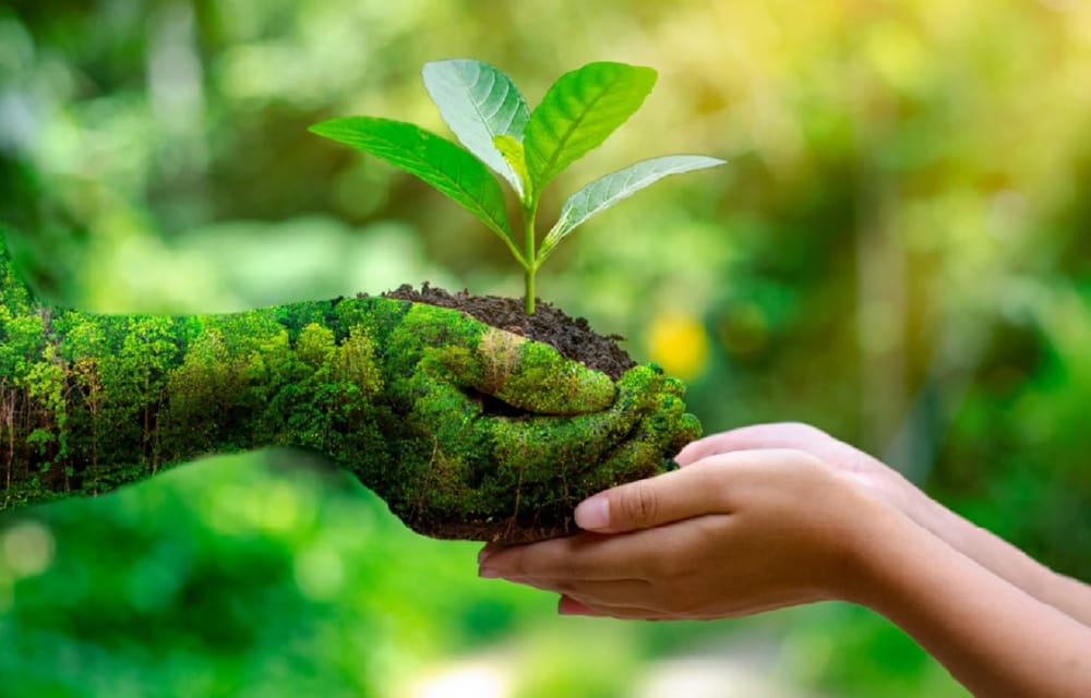 Asistencia técnica en economía circular y sostenibilidad imagen de la publicación