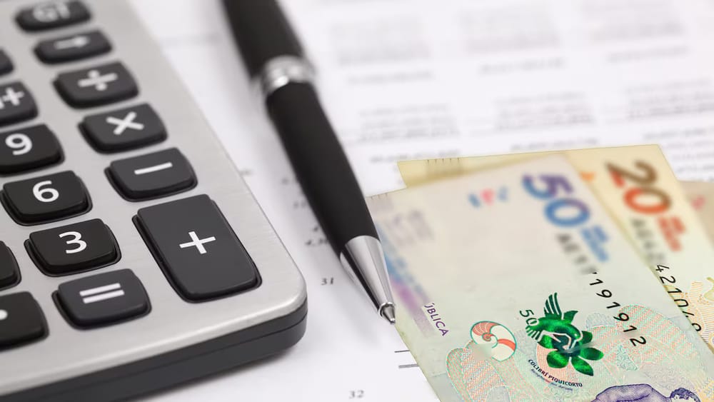 Dian aspira a recaudar unos $25 billones con declaración de renta imagen de la publicación