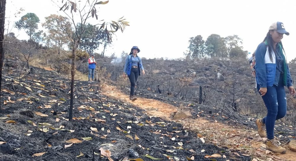 Incendio forestal en Girón consumió 45 hectáreas (FOTOS) imagen de la publicación