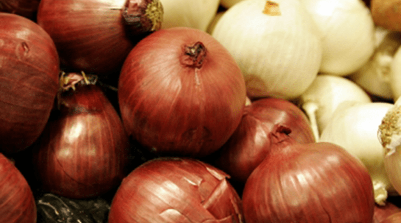 Cebolleros del Catatumbo prefieren botar la carga en lugar de perder más dinero imagen de la publicación