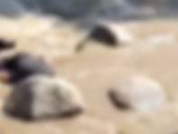 Aparente cuerpo apareció en Café Madrid imagen de la publicación