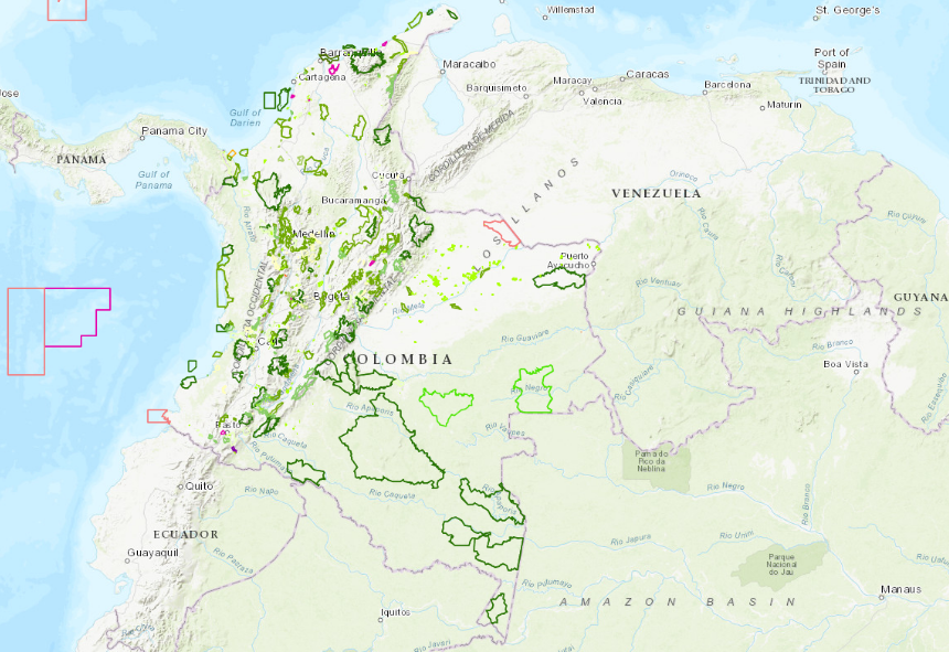 Geovisor Ambiental: Nueva plataforma para consultar cifras de deforestación en Colombia imagen de la publicación