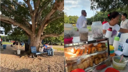Así es el aeropuerto en Colombia con sala de espera bajo un palo e’ mango imagen de la publicación