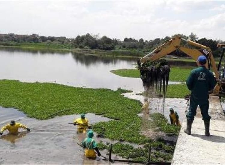 Menor de edad se fue a nadar y se lo tragó un humedal imagen de la publicación