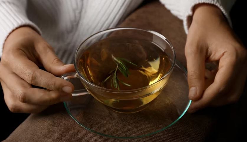 Las plantas que le pueden quitar el estrés según Harvard imagen de la publicación