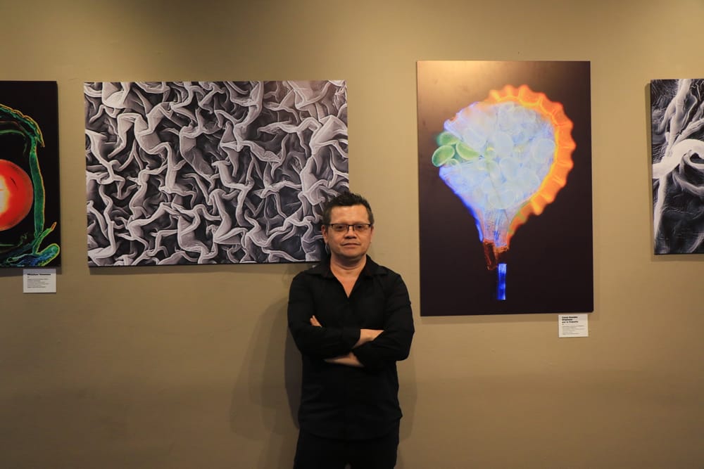 Un viaje visual al mundo microscópico: Arte y ciencia en fotografías imagen de la publicación