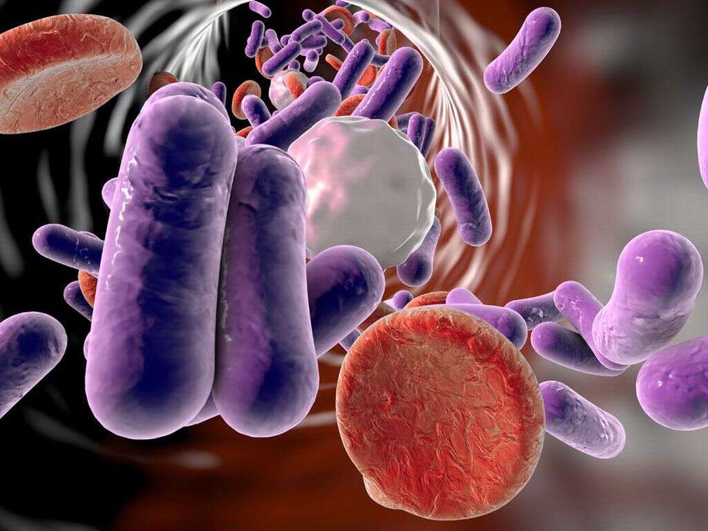 Sepsis: la principal causa de muerte hospitalaria en el mundo imagen de la publicación