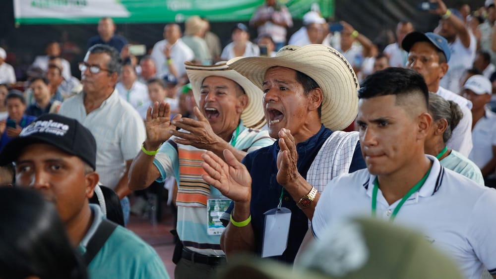 La naciente política de la economía forestal tiene su primer impulso con $77.500 millones imagen de la publicación