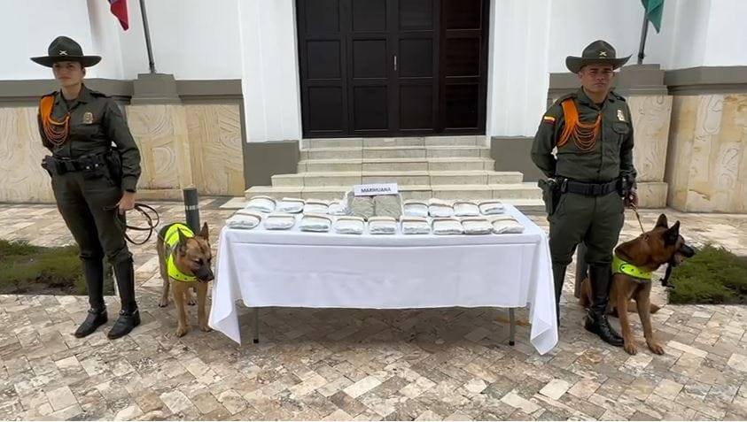 Millonaria incautación de narcoencomienda imagen de la publicación