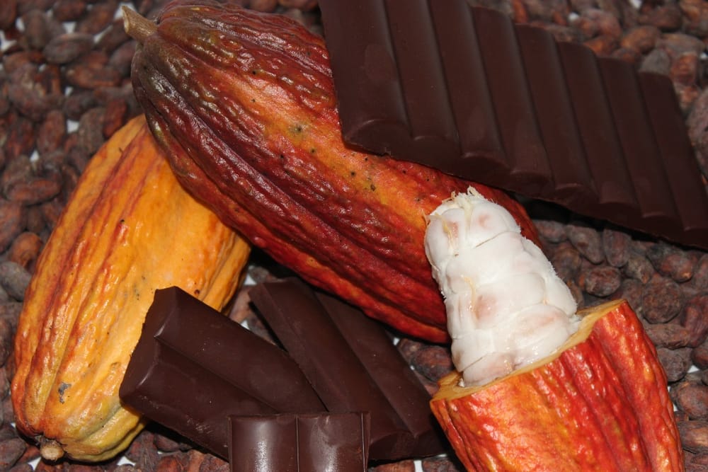Cacao colombiano con futuro brillante y desafíos por vencer imagen de la publicación